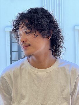 ダッド(DAD) 【Spring Spiral】