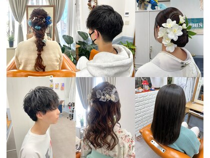 ドルフィンの写真