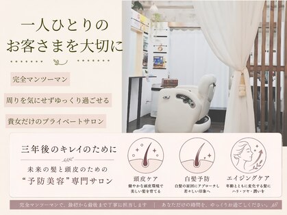 クー(kuu)の写真