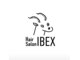 アイベックス(IBEX)の写真