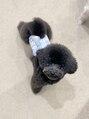 ビューティービースト 西新店(beauty:beast) 最近は愛犬が毎日の癒しです。