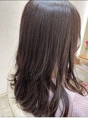 レイヤー