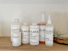 トリートメントへのこだわり【OLAPREX編】[辻堂/辻堂駅]