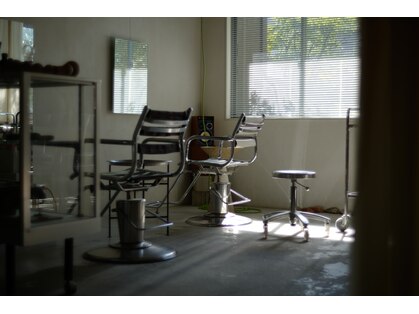 ミン(MIN)の写真