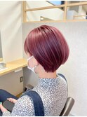 韓国ヘアカシスラベンダー