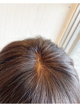 ビセラ(Vicella) 脱白髪染め