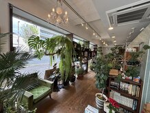 ヘアーピースナジャ(hair peace NADJA)の雰囲気（緑あふれる明るい店内へようこそ！）