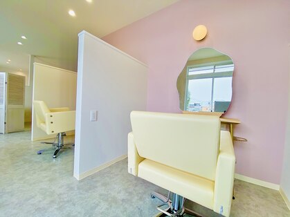 モカ(moca)の写真