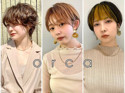 オルカ(orca)の写真