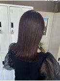 バイオレットカラー