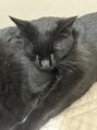 ブレイク 袋井店(BREK)&nbsp;自宅の黒猫ちゃんです！#髪質改善#袋井#メンズカット#韓国風