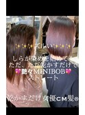 ミ二ボブ　専門家