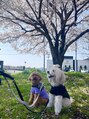 エオル(e'ole)&nbsp;トイプー2人と暮らしてます