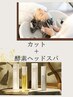 【酵素トリートメント】　カット＋ヘッドスパ