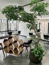 ジルブラン 国分寺(JIL BLAN) 指名 なし