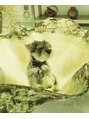 キュエ(qiie)&nbsp;小犬の時U∵U    /パーマ/ショートパーマ/メンズパーマ/縮毛矯正
