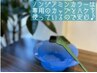 平日限定♪半年ご来店無い方も対象◆ノンジアミンカラー×カット￥16600→8300