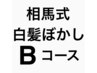 相馬式白髪ぼかしB.ホイルフルヘッドコース×カット