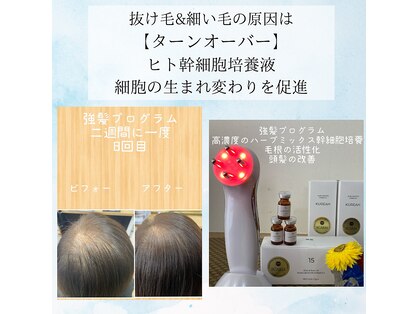 ラパス(LAPAZ)の写真
