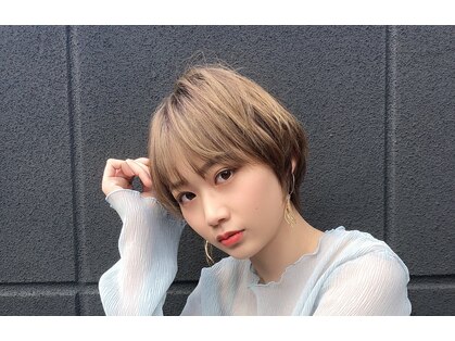 アング(Ang)の写真