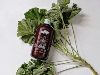 シグラ エ アログドットワイ(SIGRA et alog.y)の写真/お客様の髪を体を大切にしたい。その想いで行き着いたものが名前だけではないオーガニックサロンになること