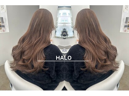 ハロ(HALO)の写真