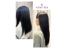 サクラ(SAKURA)