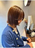 ボブレイヤー1105