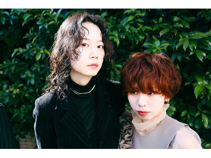 カシカ(casica)の写真