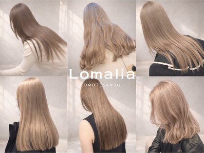 ロマリア(Lomalia)の写真