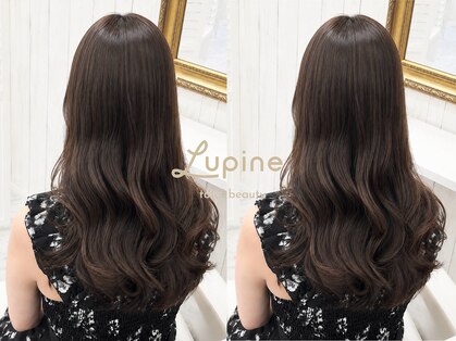 ルピナス(Lupine.)の写真
