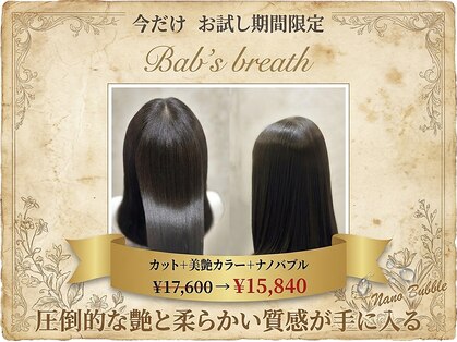 ベイビーズブレス(Baby's breath)の写真