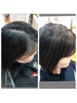 アネラ リラクシス(Anera Relaxsis)&nbsp;明るい仕上がりのグレーカラー白髪染め