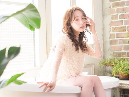 アルベロ(albero)の写真