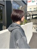 【大森 智博】丸みショート/艶カラー/ショートカット