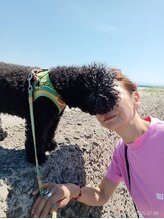 ヴェリィ&nbsp;島下 