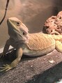 ヘアーアンドメイク ソファー 仙台駅前店(hair&make Sofa) 飼って一年経ってない可愛い子です☆