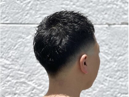 シャンパトラ(SCHON PATRA)の写真