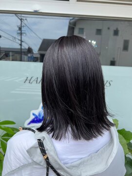 ネリネ(Nerine) ブルーブラック