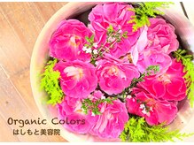 はしもと美容院