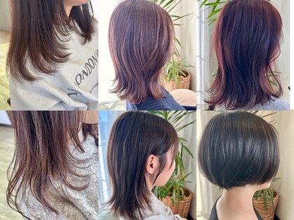 クローバー(clover)の写真