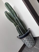 リバイブ(REVIVE)&nbsp;ビッグ柱サボテン