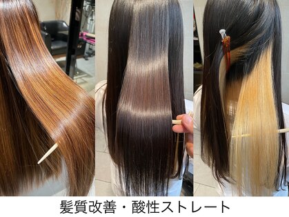 ゲン(gen.)の写真
