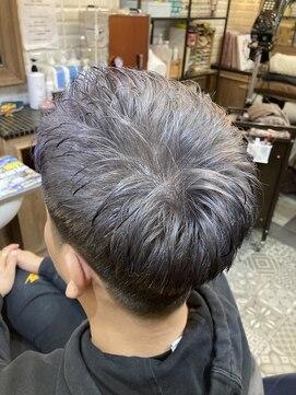 ルピナス 中田(Lupinus) アップバンクシルバー系カラー