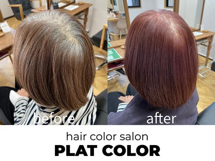 プラットカラー(PLAT COLOR)の写真