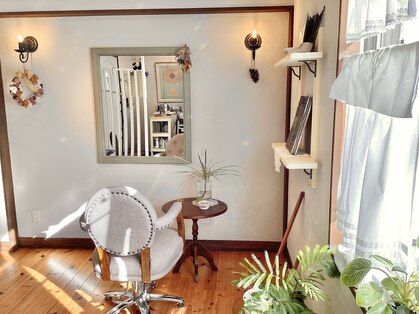 セレンディピティ 流山おおたかの森(Serendipity)の写真