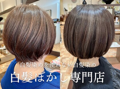 アイニ 河内小阪店(aini)の写真