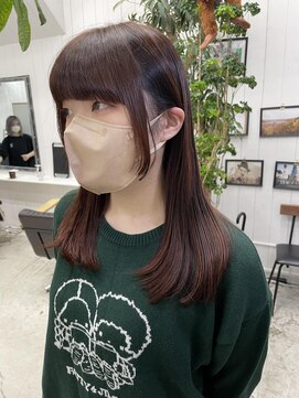 ベニス(VENICE) フロントカット