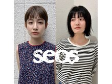 セオス(seos)