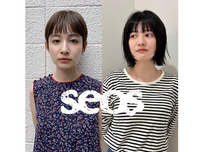 セオス(seos)の写真